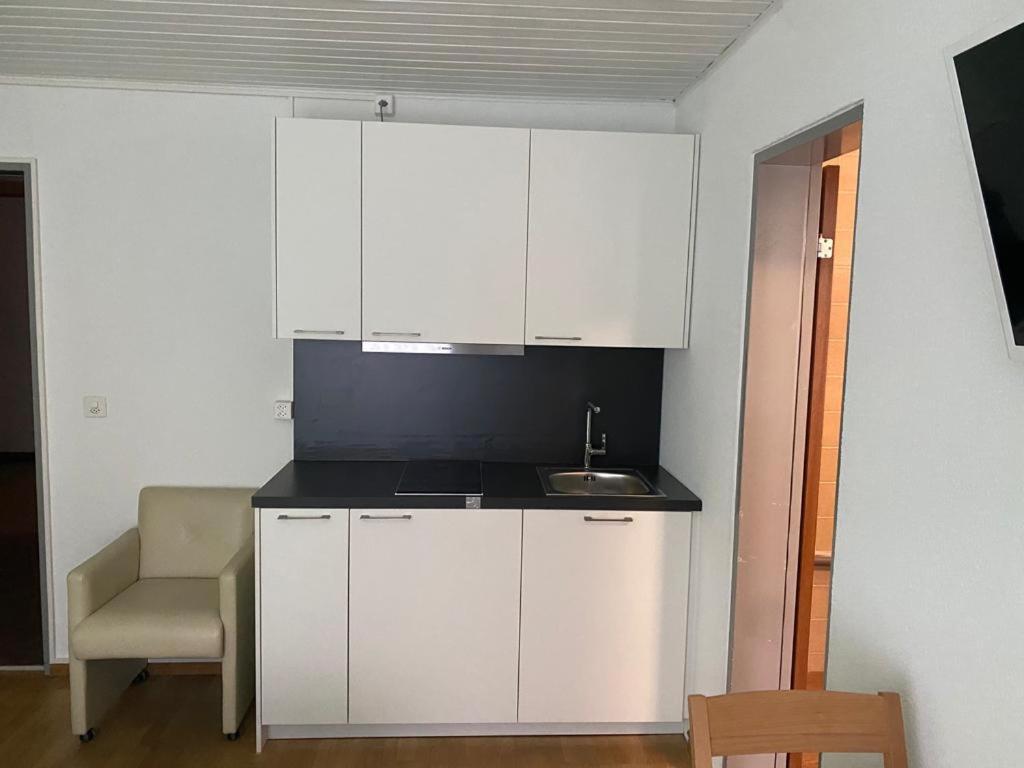 Studios With Kitchenette Birsfelden Eksteriør bilde